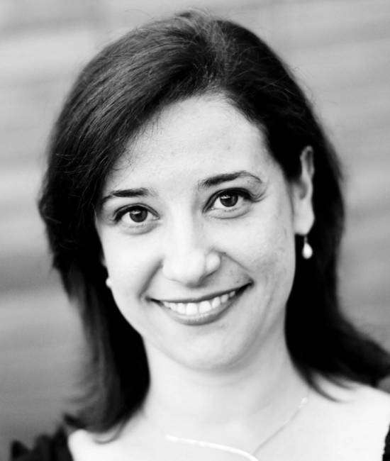 Ana Helena Surgik